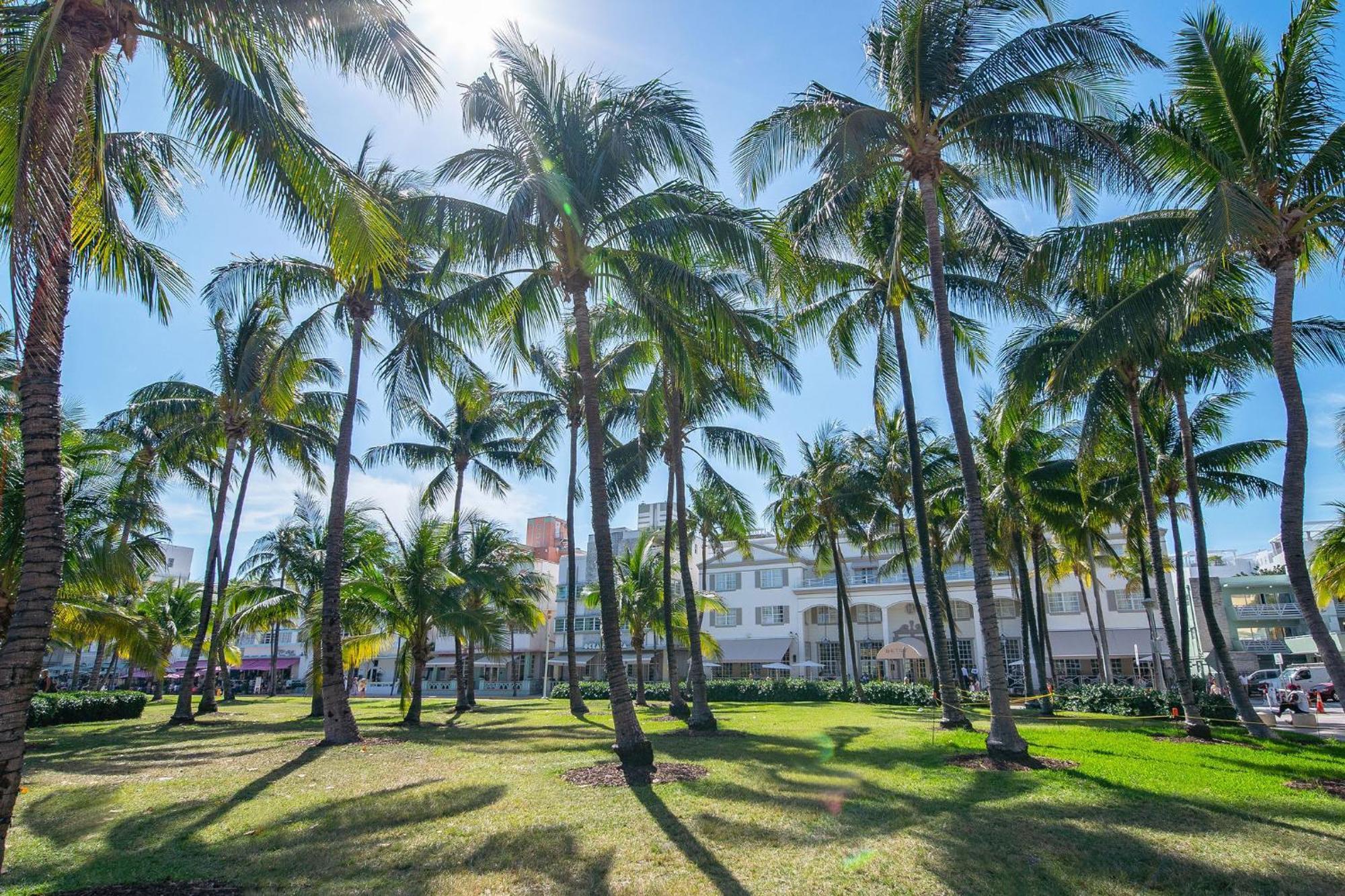 Chic Large Studio Apt Near Ocean Drive South Beach Μαϊάμι Μπιτς Εξωτερικό φωτογραφία